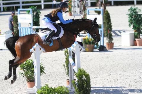 CSIO Lamprechtshausen - Austria