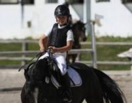 Obr Pony Zebricek 2012 1 2 5 Misto 42
